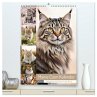 Maine Coon Kalender - Majestätische... - Bild 1