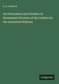 On Perforation and Division of Permanent Stricture of the Urethra by the Lancetted Stilettes