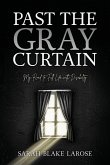 Past the Gray Curtain