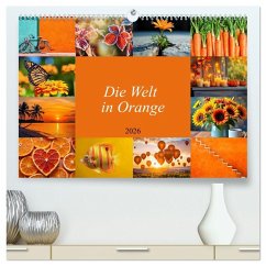 Die Welt in Orange (hochwertiger Premium Wandkalender 2026 DIN A2 quer), Kunstdruck in Hochglanz Cover Die Welt in Orange (hochwertiger Premium Wandkalender 2026 DIN A2 quer), Kunstdruck in Hochglanz