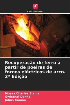 Cover Recuperação de ferro a partir de poeiras de fornos eléctricos de arco. 2ª Edição