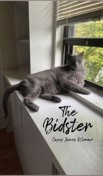 The Bidster The Bidster