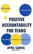 Positive Accountability (eBook, ePUB) - Bild 1