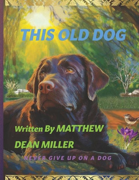 THIS OLD DOG THIS OLD DOG