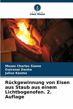 Cover Rückgewinnung von Eisen aus Staub aus einem Lichtbogenofen. 2. Auflage
