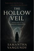 The Hollow Veil (Ashwood Chronicles, #1) (eBook, ePUB)