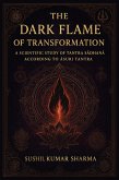 The Dark Flame of Transformation (eBook, ePUB)