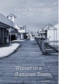 Winter in a Summer Town (eBook, ePUB)