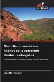 Dimorfismo sessuale e habitat dello scorpione Urodacus elongatus