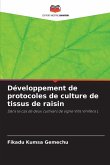 Développement de protocoles de culture de tissus de raisin Développement de protocoles de culture de tissus de raisin