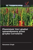 Plamisto¿¿ li¿ci gladiol spowodowana przez grzyba Curvularia