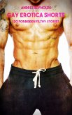Gay Erotica Shorts - Volume 2 (eBook, ePUB)