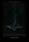 Wygaszenie (eBook, ePUB) Wygaszenie (eBook, ePUB)