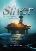 Silver (eBook, ePUB)