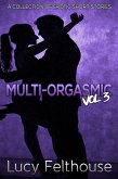Multi-Orgasmic Vol 3: A Collection of Erotic Short Stories (eBook, ePUB)