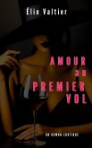 amour au premier vol (eBook, ePUB)