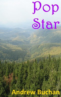 Cover Pop Star (eBook, ePUB)