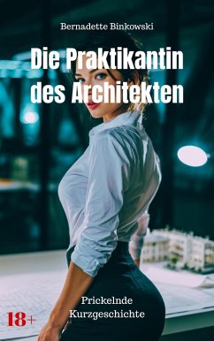 Cover Die Praktikantin des Architekten (eBook, ePUB)
