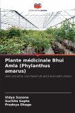 Plante médicinale Bhui Amla (Phylanthus amarus) Plante médicinale Bhui Amla (Phylanthus amarus)