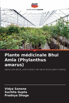 Cover Plante médicinale Bhui Amla (Phylanthus amarus)