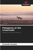 Patagonia at the crossroads Patagonia at the crossroads