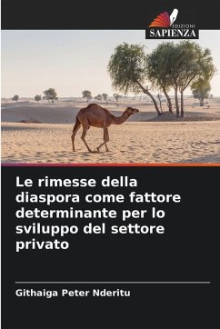 Cover Le rimesse della diaspora come fattore determinante per lo sviluppo del settore privato