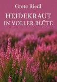 Heidekraut in voller Blüte Heidekraut in voller Blüte