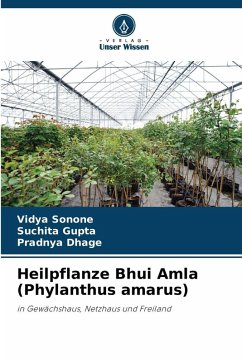 Cover Heilpflanze Bhui Amla (Phylanthus amarus)