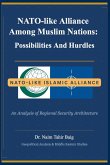 NATO-like Alliance Among Muslim Nations