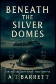 Beneath the Silver Domes