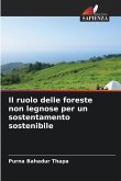 Il ruolo delle foreste non legnose per un sostentamento sostenibile