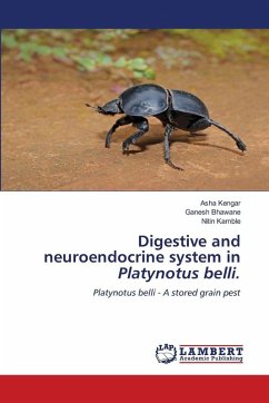 Cover Digestive and neuroendocrine system in Platynotus belli.