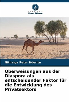 Cover Überweisungen aus der Diaspora als entscheidender Faktor für die Entwicklung des Privatsektors