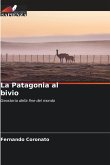 La Patagonia al bivio La Patagonia al bivio