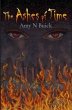 The Ashes of Time (eBook, ePUB) - Bild 1