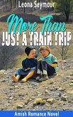 More Than Just a Train Trip (eBook, ePUB)