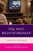 The Post-Bildungsroman (eBook, PDF)
