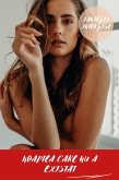 Fantezii Interzise: Noaptea Care Nu A Existat (Povestire Erotica) (eBook, ePUB)