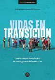 Vidas en transición (eBook, PDF)