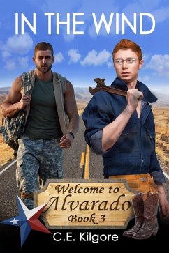 Cover In The Wind (Welcome to Alvarado, #3) (eBook, ePUB)