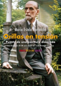 Cover Orillas en tensión. Puente de una escritura dislocada (eBook, ePUB)