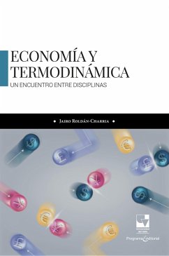 Economía y termodinámica: Un encuentro entre disciplinas (eBook, ePUB) - Roldán Charria, Jairo