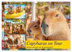 Capybaras on Tour. Wasserschweine als Weltenbummler (Wandkalender 2026 DIN A3 quer), CALVENDO Monatskalender