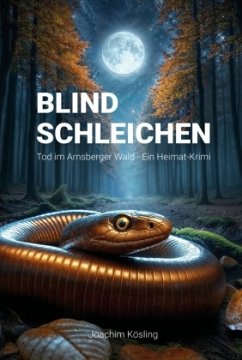 Cover Blind Schleichen