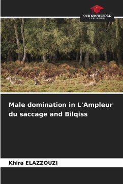 Cover Male domination in L'Ampleur du saccage and Bilqiss