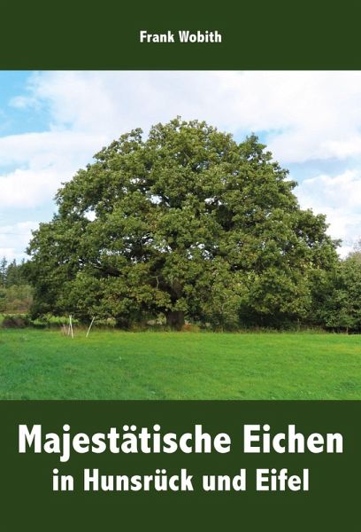 Majestätische Eichen in Hunsrück und Eifel