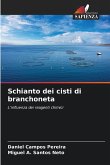 Schianto dei cisti di branchoneta Schianto dei cisti di branchoneta