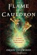 The Flame in the Cauldron (eBook, ePUB) - Bild 1