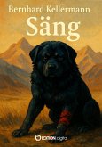 Säng (eBook, ePUB) Säng (eBook, ePUB)