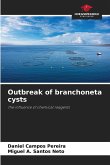 Outbreak of branchoneta cysts Outbreak of branchoneta cysts
